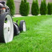 lawnmower_1