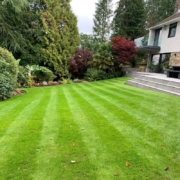 Lawn Blog TG
