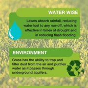 TruGreen-Benefits-Diagram