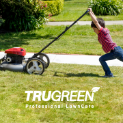 How high should you mow your lawn?