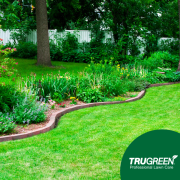 Watering gardens with lots of trees