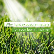 TG Blog Light Exposure
